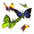 Butterflies different wapday com